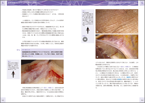 人の生きた筋膜の構造 (DVD付) ｜ 医道の日本社(公式ショッピング 