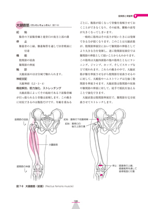 【残り15冊】身体運動の機能解剖